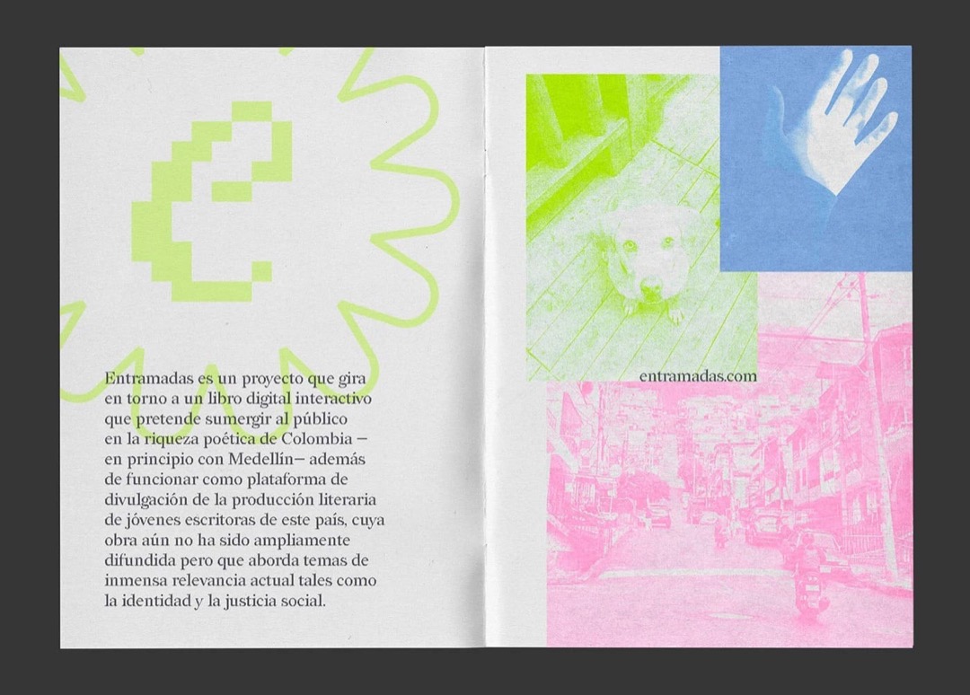 ENTRAMADAS - Image 4