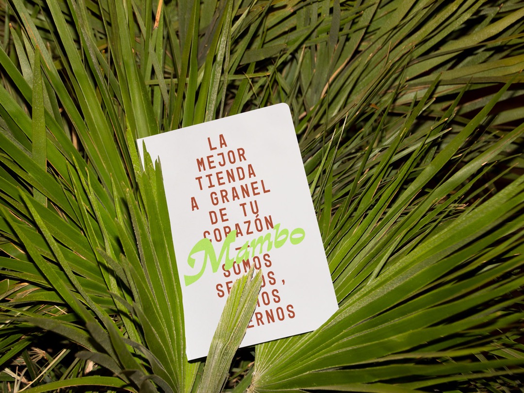 MAMBO - Image 14